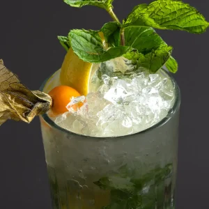 Alternative view of Mojito